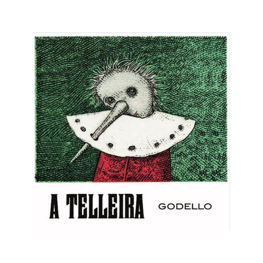 A Telleira Godello Ribeiro '23