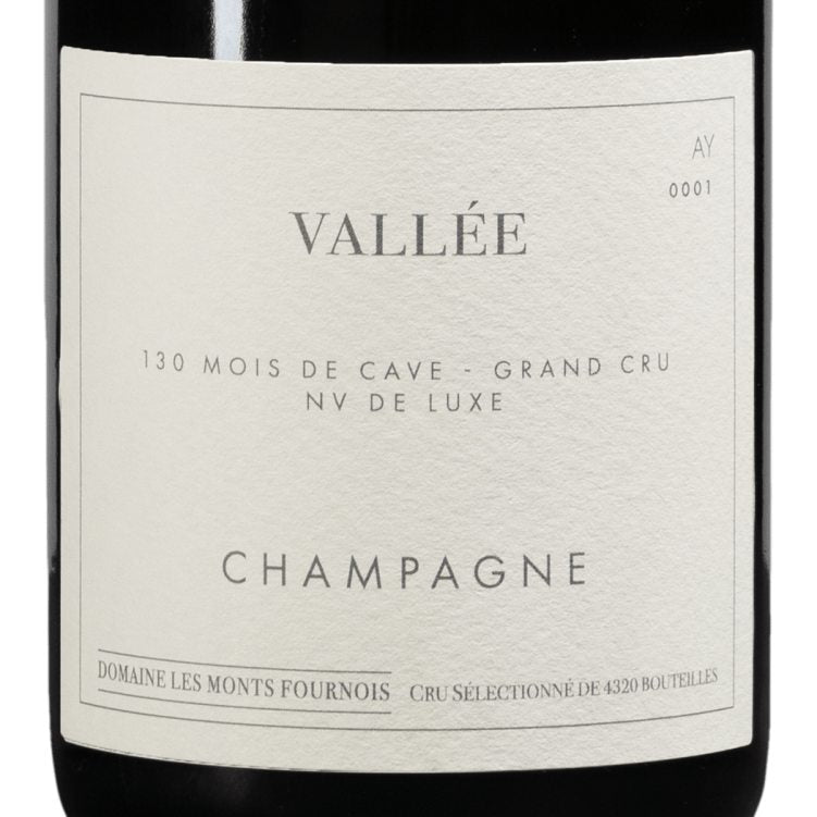 Domaine Les Monts Fournois Vallee Grand Cru Ay 13